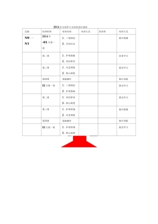 儿科护士分层培训计划表