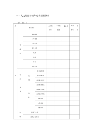 人力资源年度费用预算表