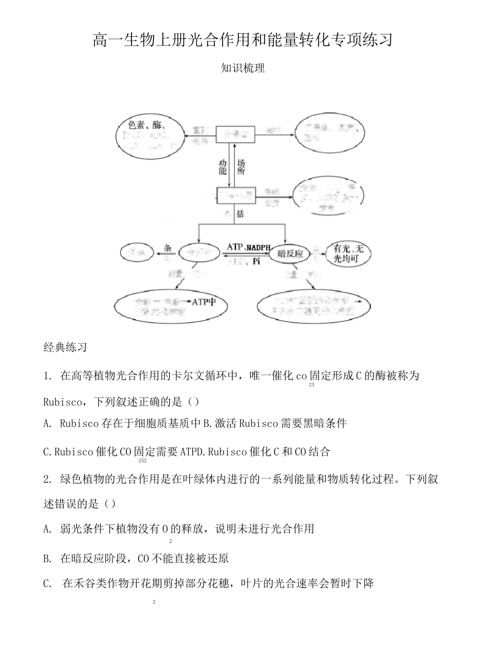 高一生物上册光合作用和能量转化专项练习(含答案)_第1页