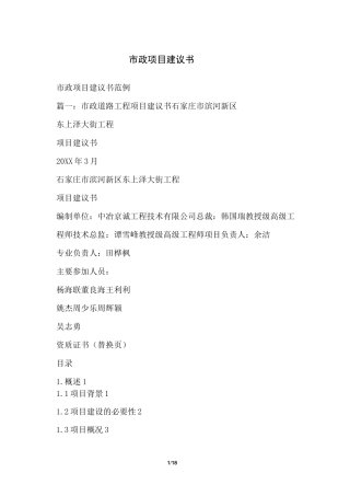 市政项目建议书