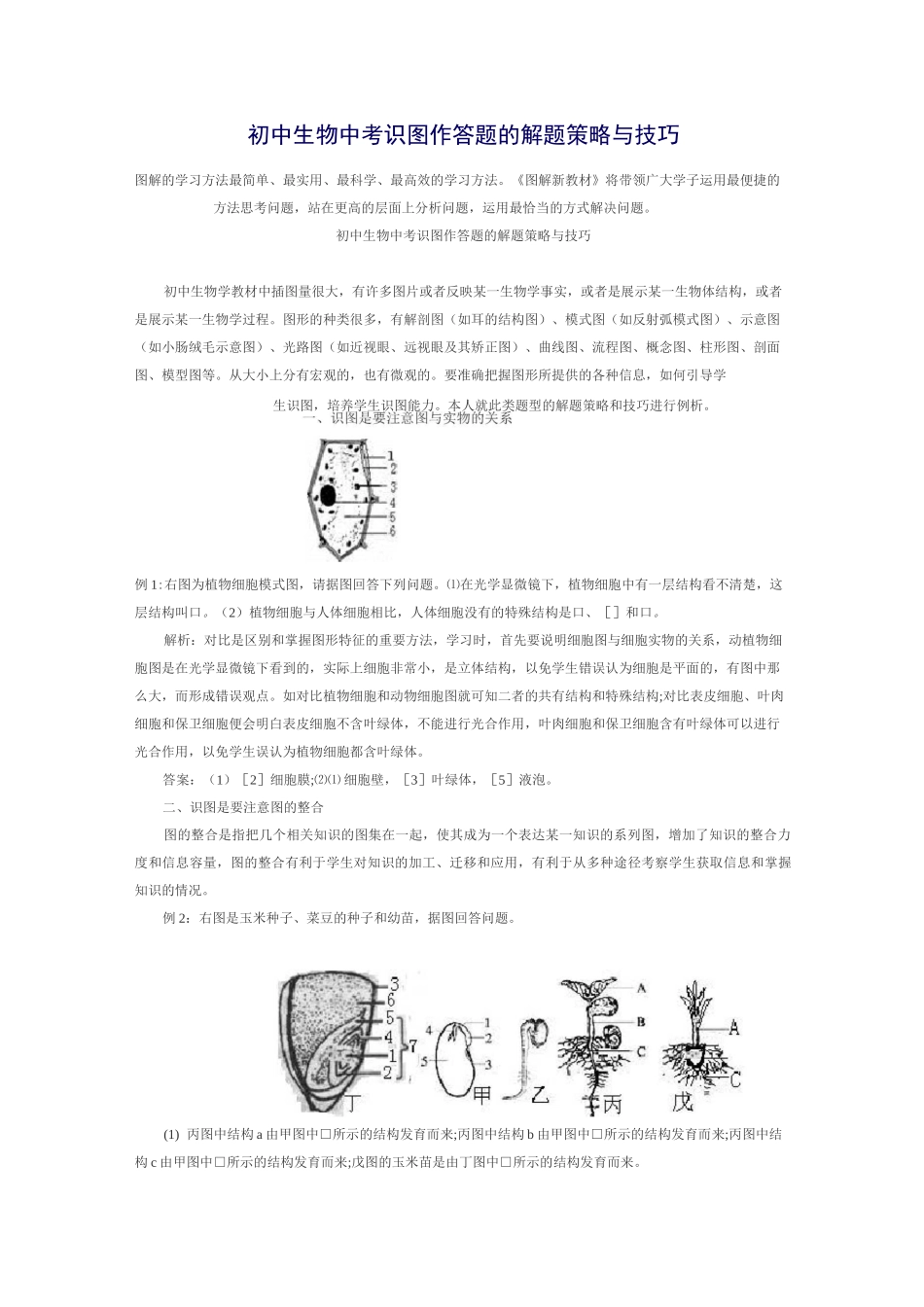 初中生物中考识图作答题的解题策略与技巧_第1页