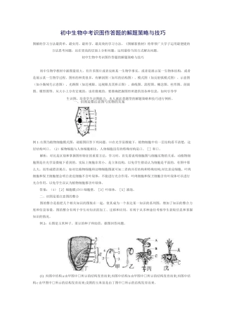 初中生物中考识图作答题的解题策略与技巧