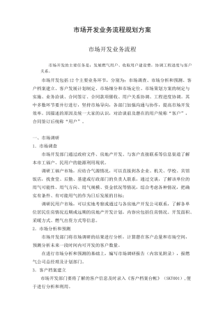 市场开发业务流程规划方案