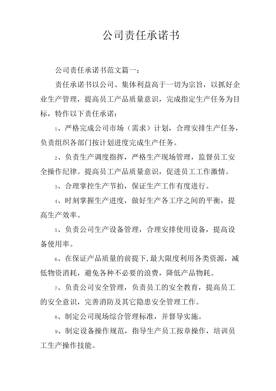 公司责任承诺书_第1页