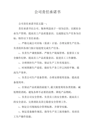 公司责任承诺书