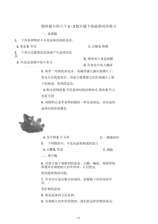 六年级下册科学一课一练 1.3放大镜下的晶体 教科版(含答案)