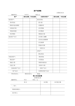 基层医疗卫生机构财务报表