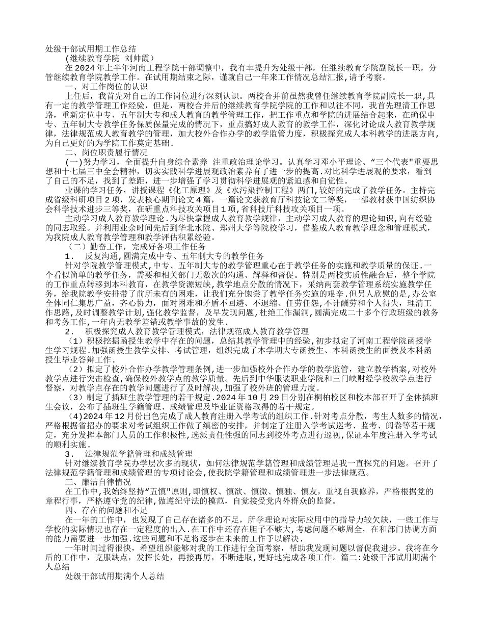 处级干部试用期工作总结_第1页