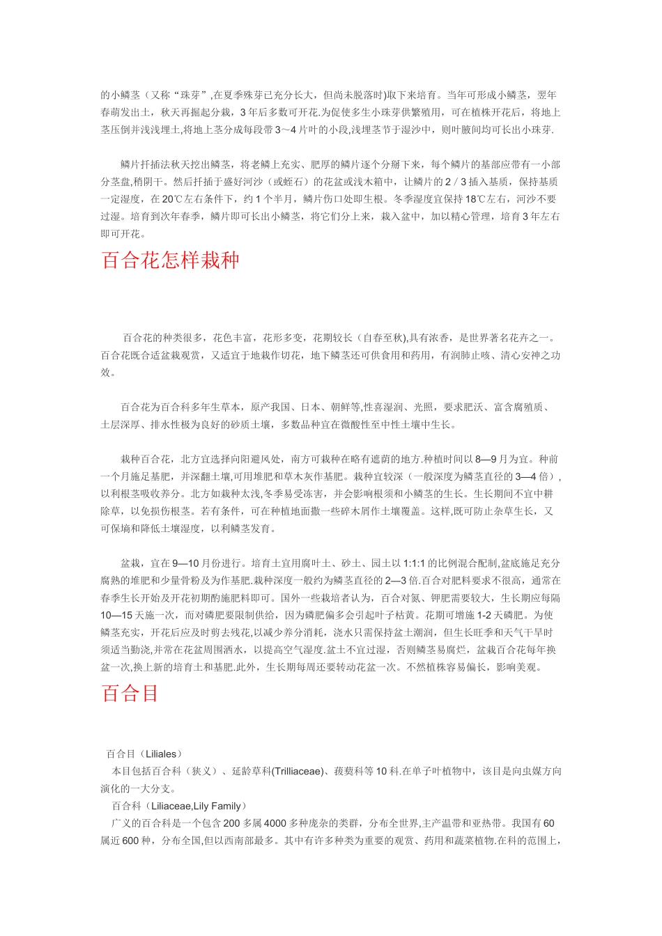 夏季百合栽培管理六点_第2页