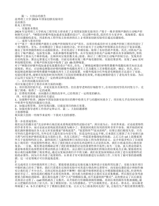 大创个人总结