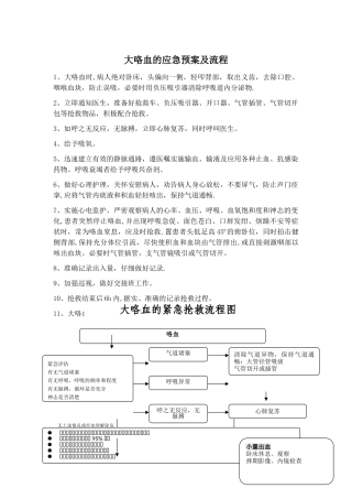 大咯血的应急预案及流程图