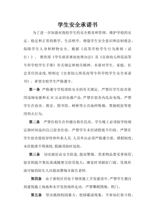 大学生安全责任书