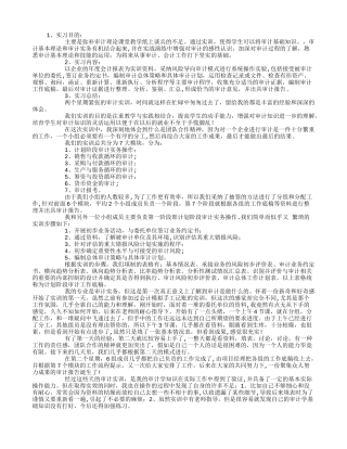 大学生审计实习报告总结