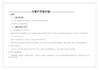 大客户开发计划