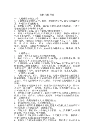 大树移栽流程