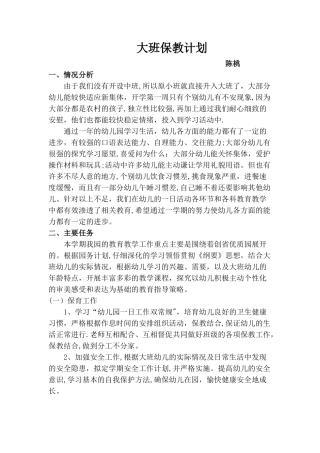 大班保教计划