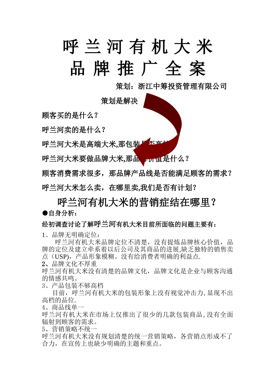 大米品牌推广方案(DOC)_第1页