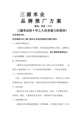 大米品牌推广方案