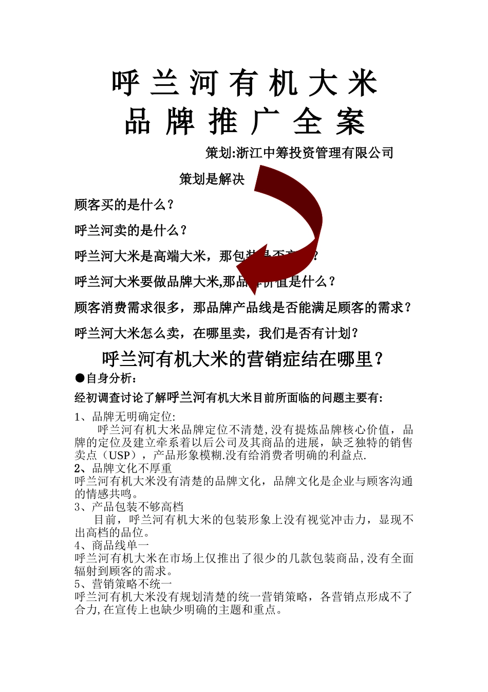 大米品牌推广方案_第1页