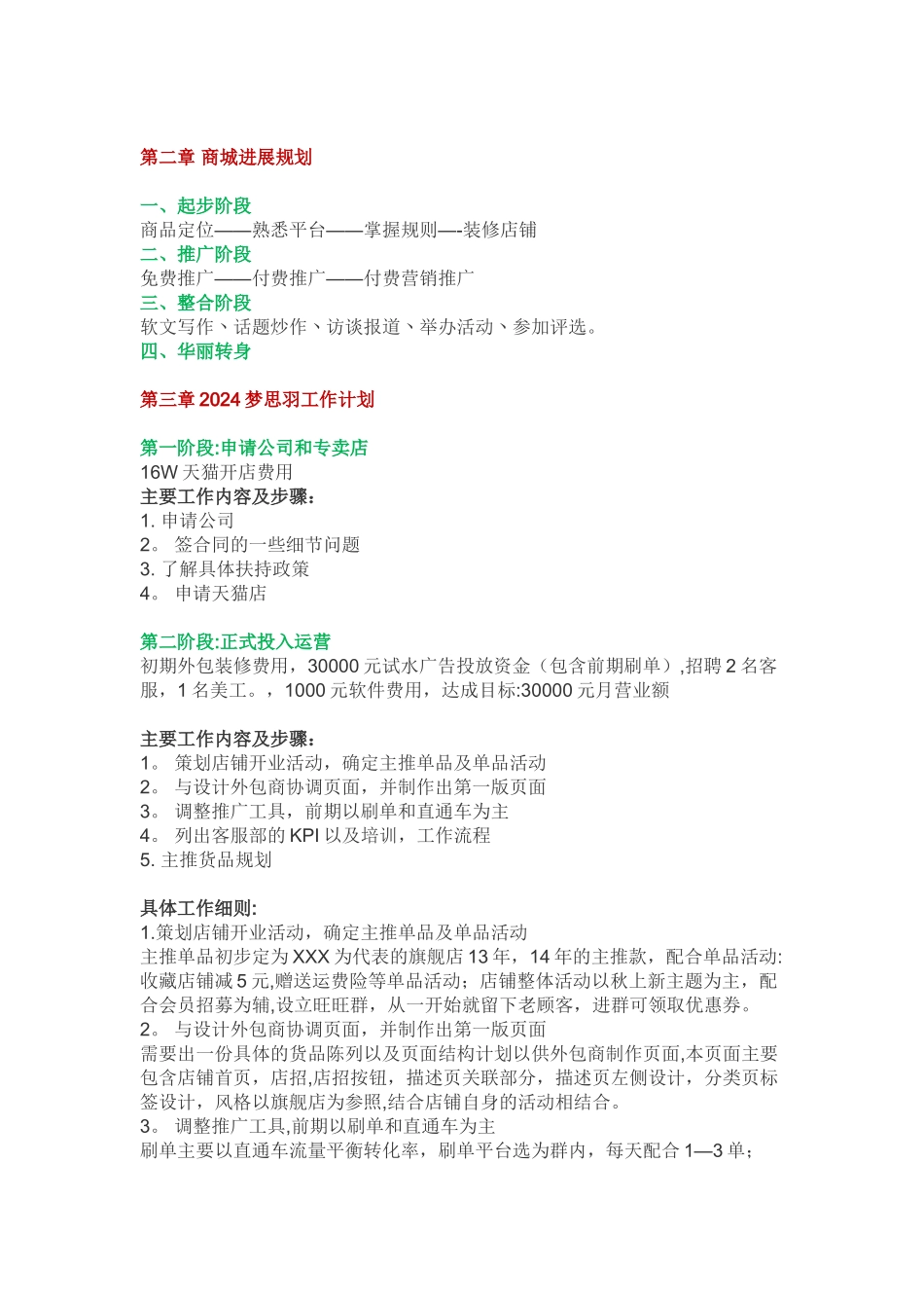 天猫店铺运营计划书_第3页