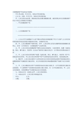 夫妻婚前财产约定协议书范例