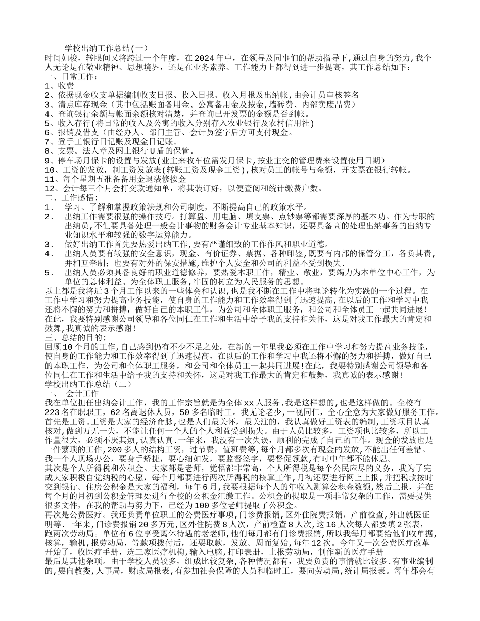 学校出纳工作总结_第1页