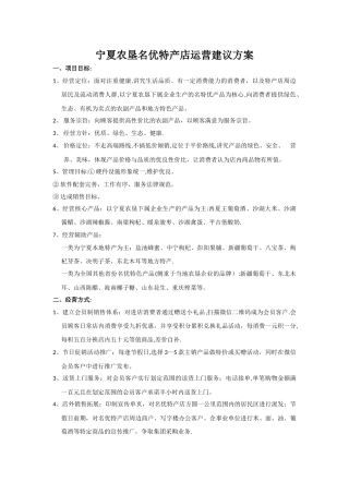 宁夏名优特产店运营建议方案