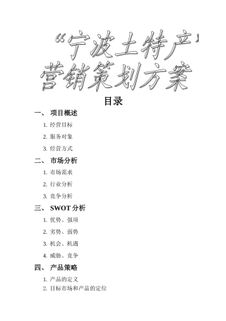 宁波土特产网营销策划方案