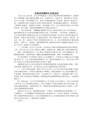 安保试用期转正自我总结