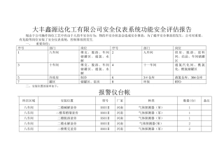 安全仪表评估报告