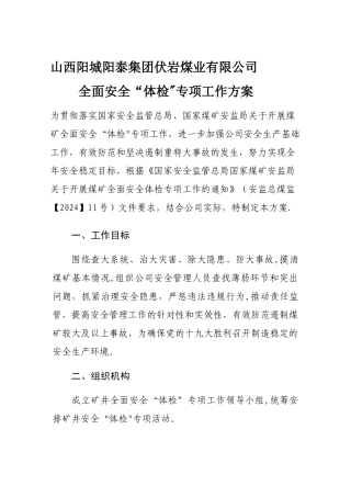 安全体检工作方案