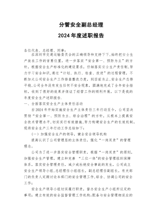 安全副总年度述职报告