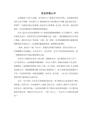 安全在我心中
