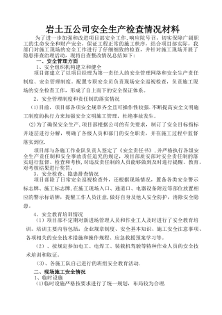 安全大检查自查报告