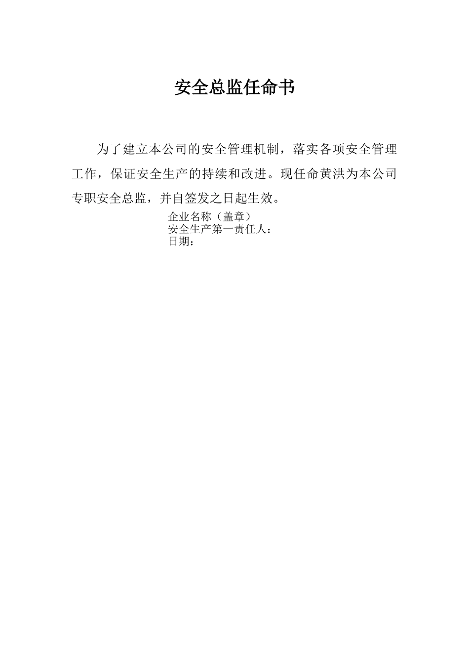 安全总监任命书_第1页
