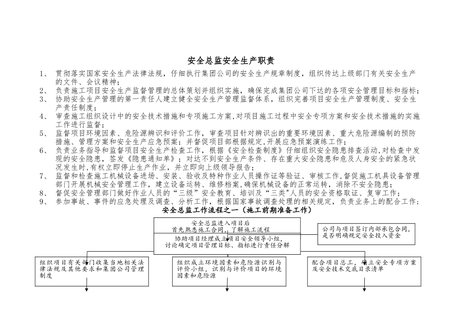 安全总监安全生产职责及工作流程_第1页