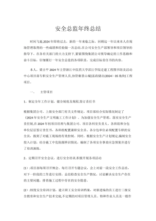 安全总监年度总结