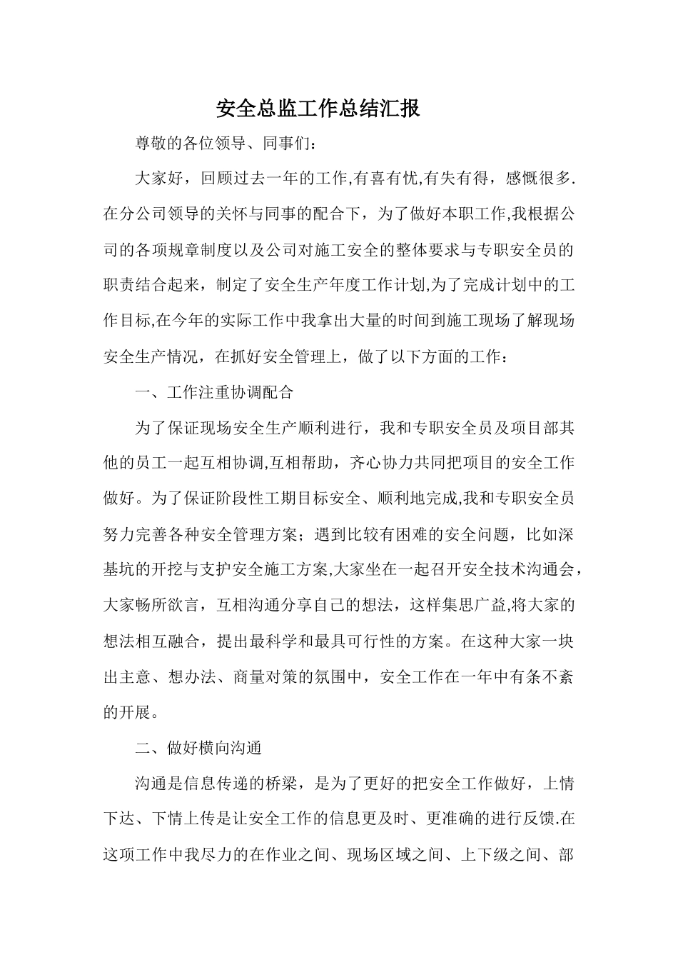 安全总监工作总结汇报_第1页