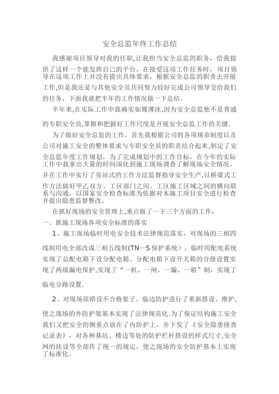 安全总监年终工作总结_第1页