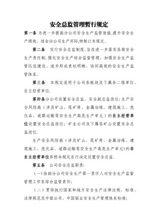 安全总监管理规定