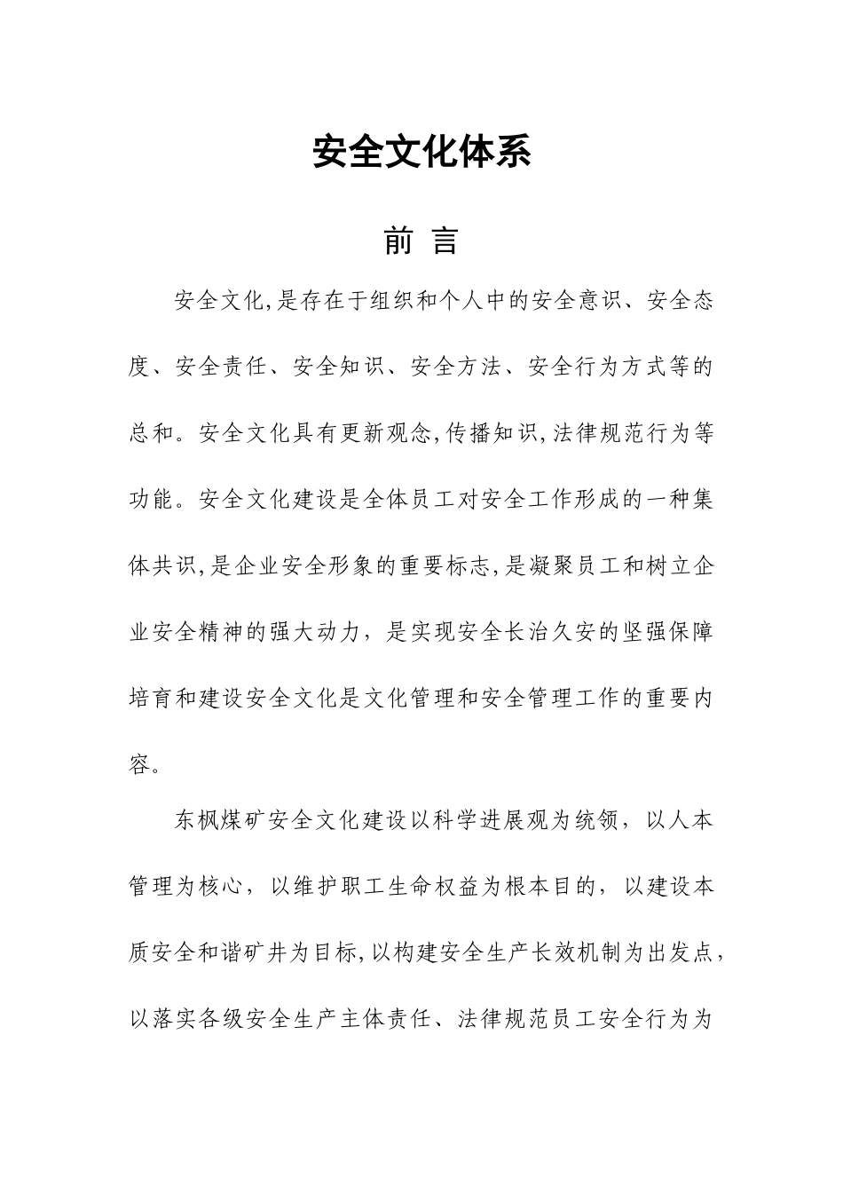 安全文化体系文件_第1页