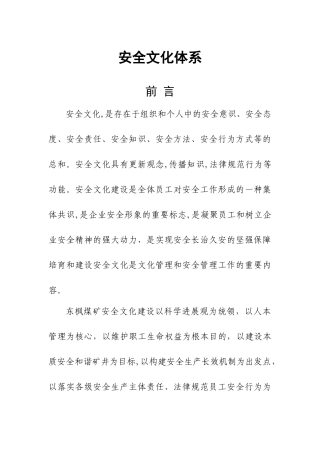 安全文化体系文件