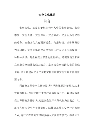 安全文化体系最全样本