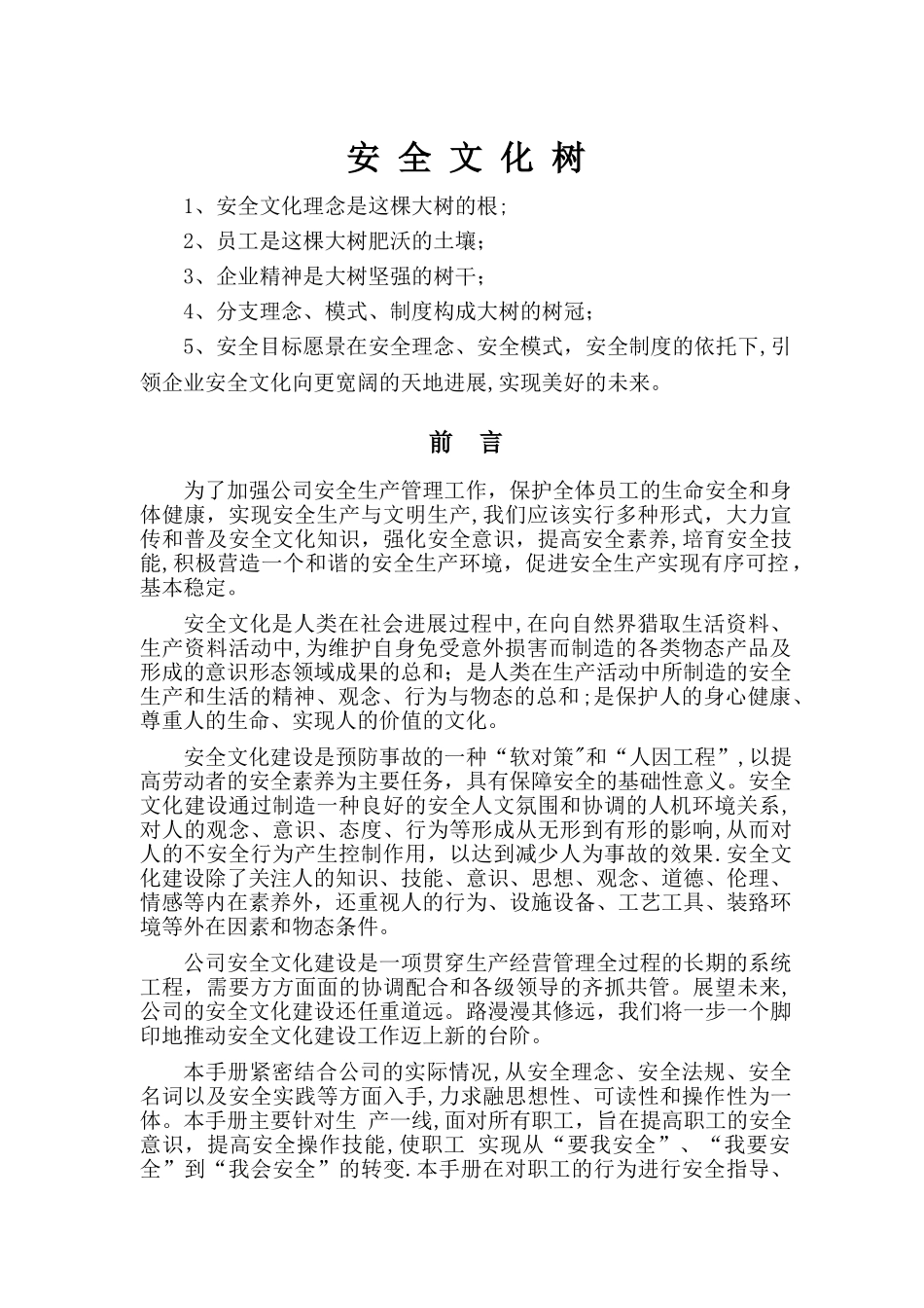 安全文化手册(liq--完整版)_第2页