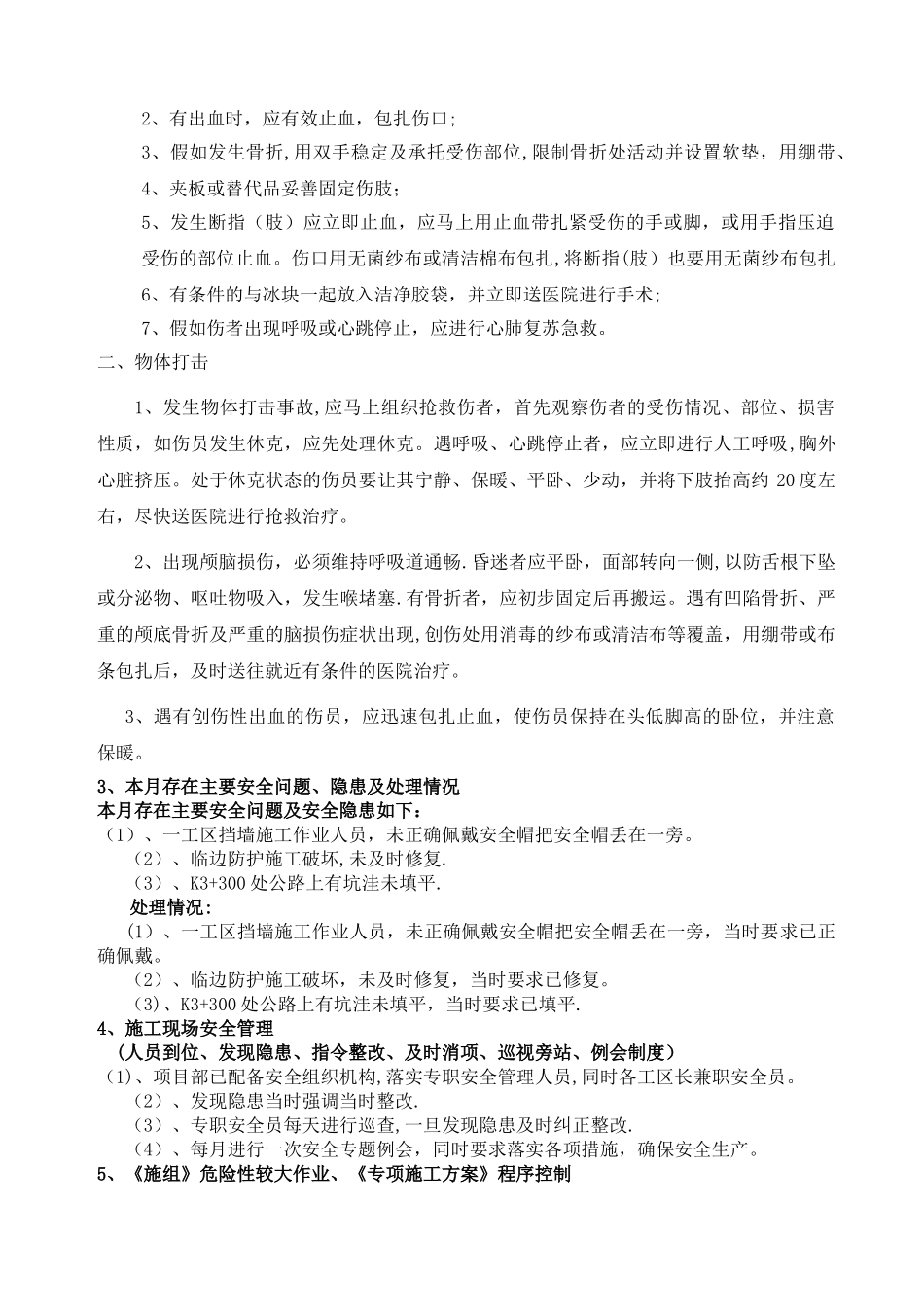 安全月报样板_第2页