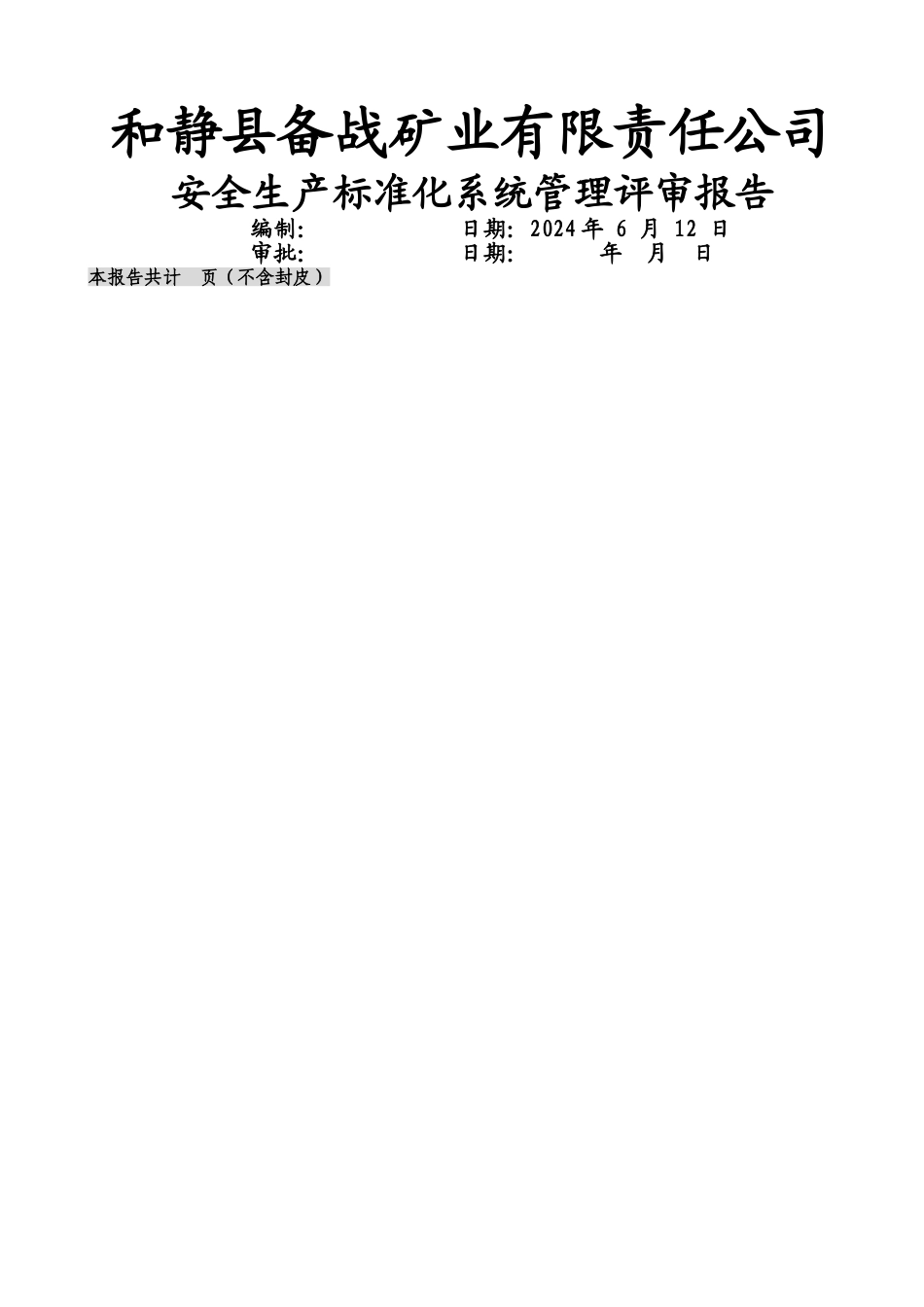 安全标准化系统管理评审报告_第1页