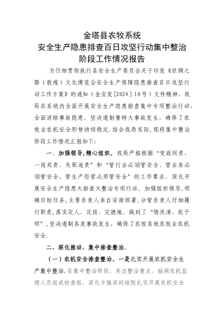 安全生产-集中整治汇报