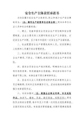 安全生产主体责任承诺书(参考范本)