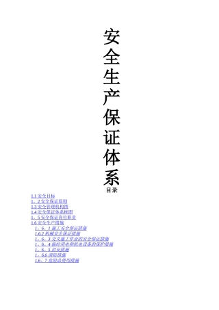 安全生产保证体系(最新)