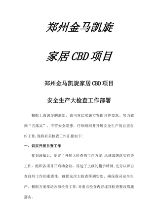 安全生产大检查工作部署情况